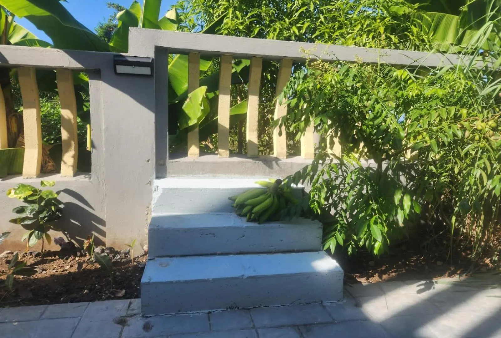 Shiloh Three Bedroom Beachfront W/Private Access Saint Ann's Bay Villa